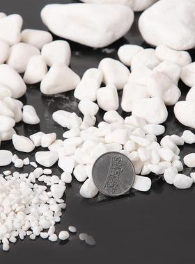 厂家色鹅卵石庭肉盆栽园艺多铺面院石68491机制园林造景小石白子