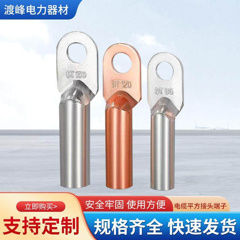 DT铜鼻子铜线耳纯铜接线端子线鼻子国标镀锡镀锌堵油加厚电缆接头,工业油品/胶粘/化学/实验室用品,其他实验室设备,淘宝优惠券,粉丝福利购,淘宝优惠卷
