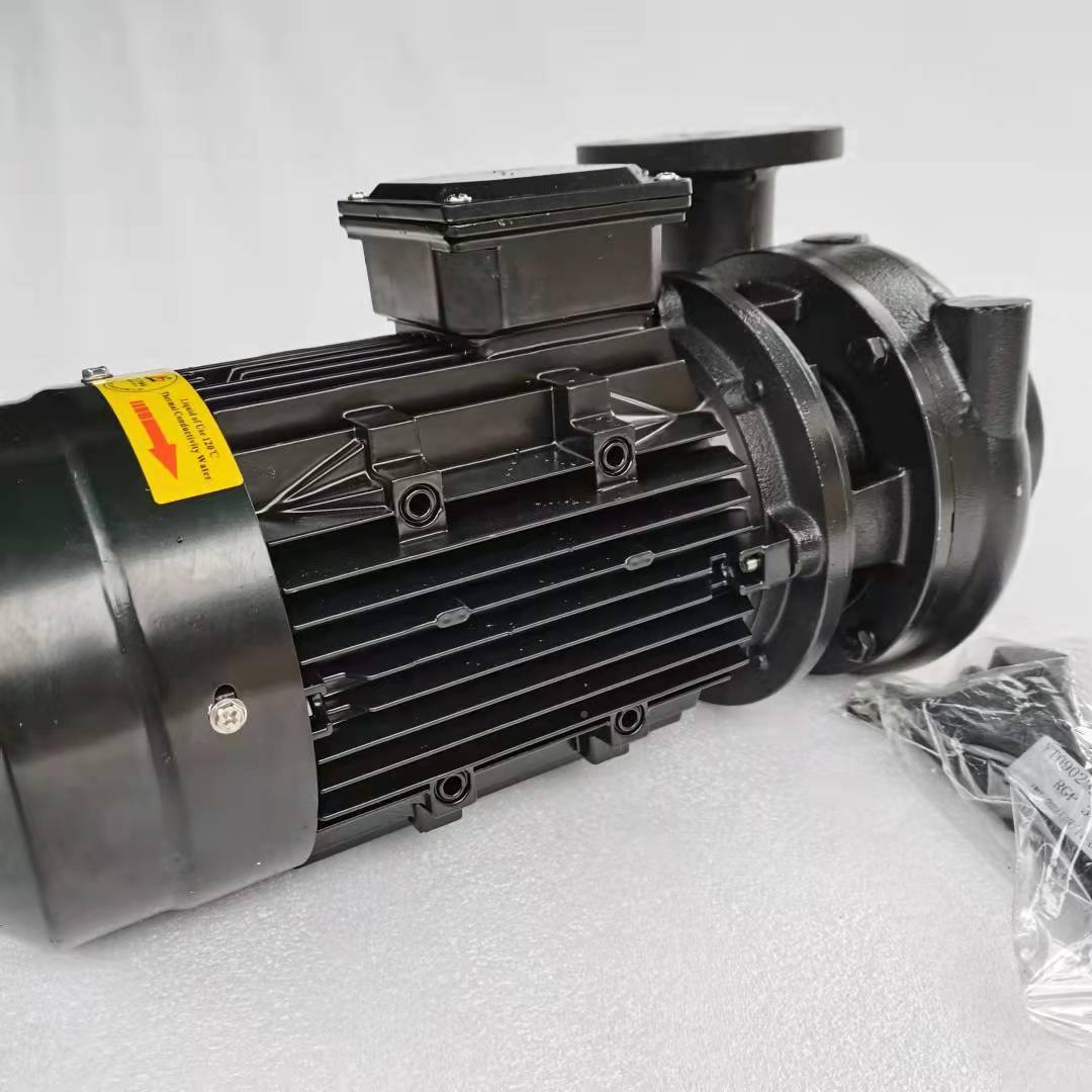 惠沃铸铁WIP材质高温热水热油心离泵RGP-10蚀刻德机模温机循环油