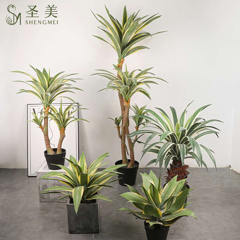 仿真龙舌兰白边金边剑麻剑兰树假树客厅装饰丝兰树大型植物盆景