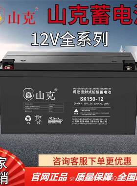 SHANKE山克蓄电池SK12V1001724384065120AH机房直流屏专用