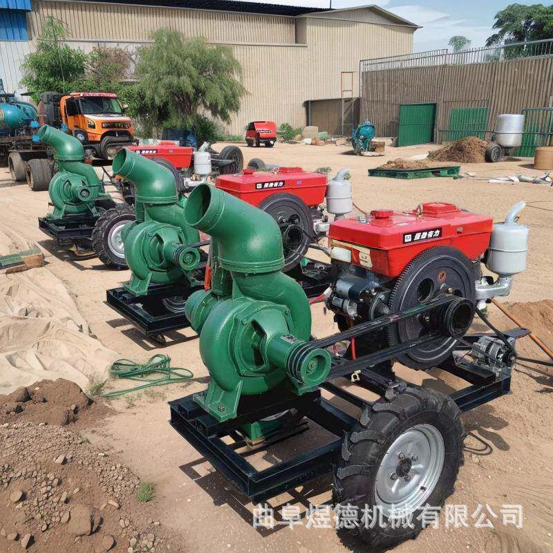 抽水灌溉急抢险排灌设备防汛排水排污泵