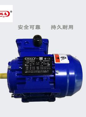 FEMA三相电机RMS7134IP55F级绝缘B级温升S1工作制1E1标准耐用