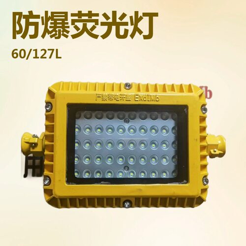 DGS48/127L矿用隔爆型LED巷道灯山东厂家48W/127V方形防爆照明灯
