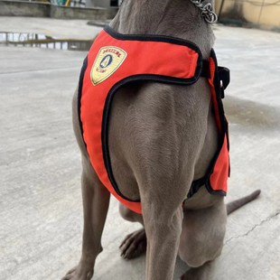 牵引作战服工作犬消防搜救背心宠物狗狗马犬胸背带衣服德牧马甲