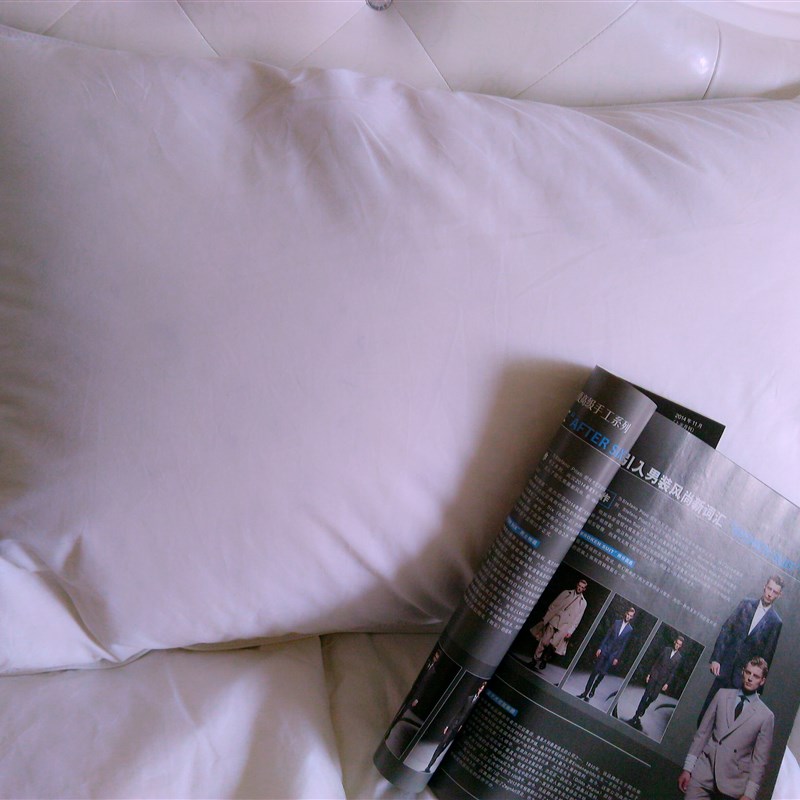 全棉防绒布手工自充绒羽绒枕头靠垫芯壳内胆枕套半成品单层双层