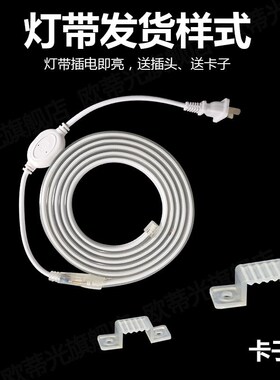 220V三排蓝光LED灯带条防水蓝色180灯每米深蓝色LED灯条户外防雨