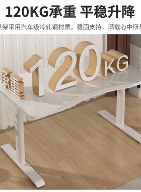 爱美卓电动升降书桌电脑桌家用台式办公桌简约白色网红桌子TX2