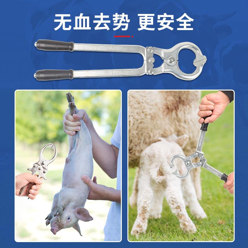 血兽用去势钳阉割无猪牛羊用不锈钢去势钳NNI钳去势器夹蛋钳子煽