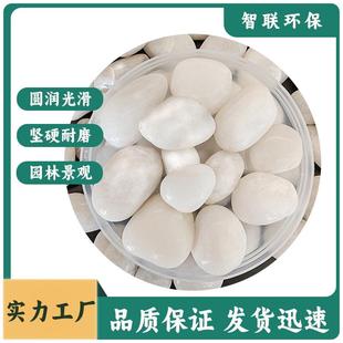 白色石子精抛路卵庭院铺造572景水洗石雨花石鹅鱼缸铺面水培石白