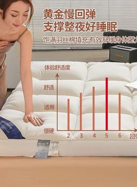 五酒店床褥垫家用卧软垫室榻榻米软床褥垫被厚子垫BPO垫褥弹性