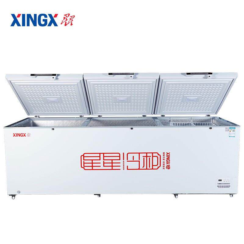 星星（XINCGX）商用大容量冷冻柜液晶D温商用大冷柜B/BDAO-显1388