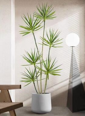 仿真绿植龙轻GDU血树大室内客厅年高端奢仿生型植物千木落地装饰