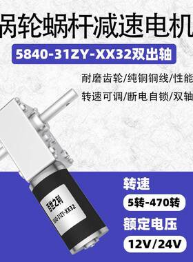 5840-312z轮y蜗蜗杆微型直流NZS减速电机1伏双微出轴有刷型电动机