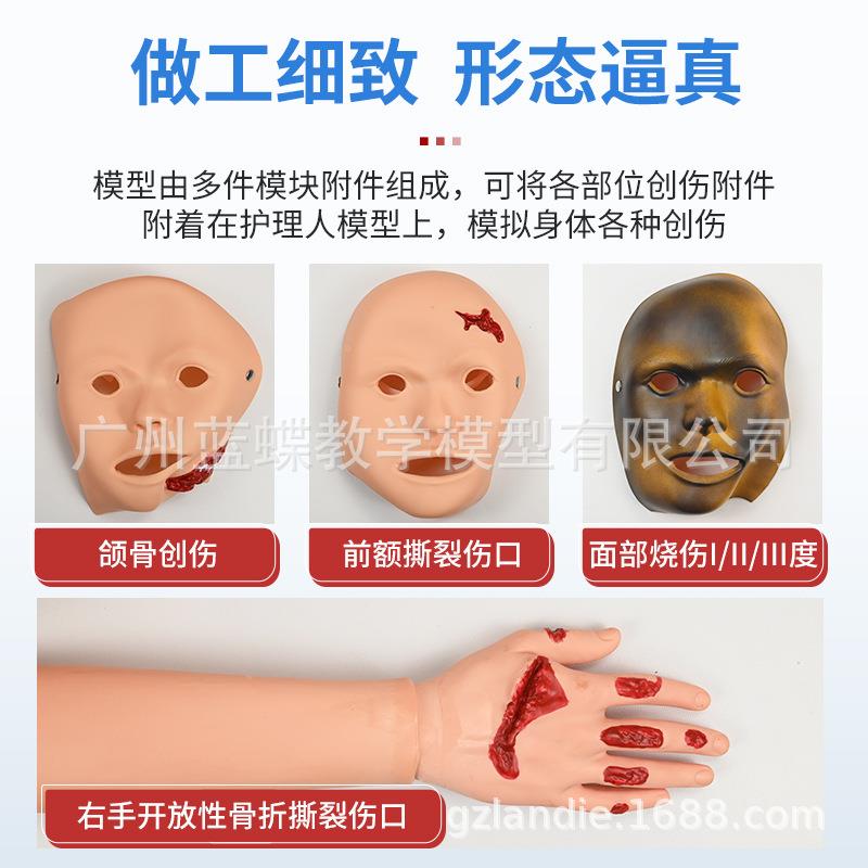 全功能创护理模型止伤血224人急救包扎训练习骨折烧伤模拟假人