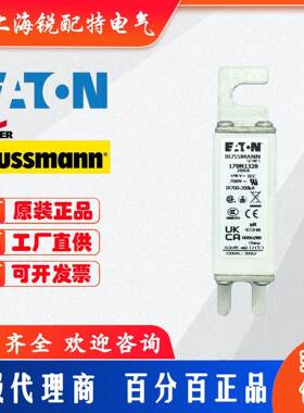 170M快速熔断器1316/1319/1320/1321/1322