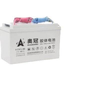 奥冠胶体蓄电池6-CNFJ-8012V80AH太阳能发电路灯照明专用,农用物资,其他肥料,淘宝优惠券,粉丝福利购,淘宝优惠卷