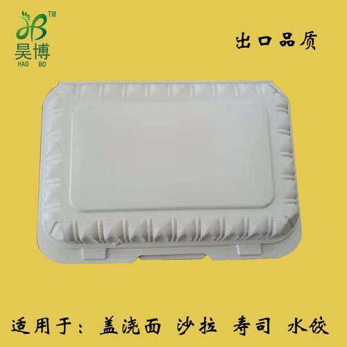 一次性盖浇饭盒寿司盒长方形白盒水饺盒
