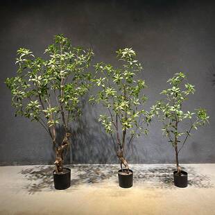 仿真绿植马醉木仿真植物摆件室内装饰假树落地盆栽带盆绿植造景