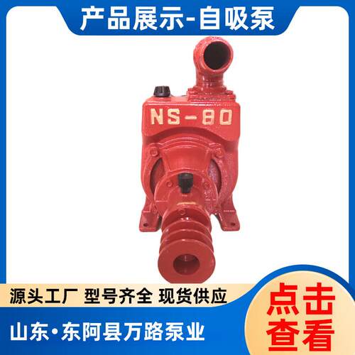 铸铁农用浇地灌溉NS自吸水泵大流量抽水泵