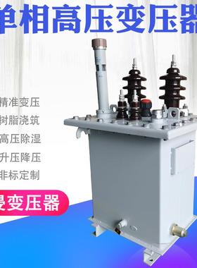 单相油浸式变压器13.8KV变220V10KV变0.23KV户外高压变压器