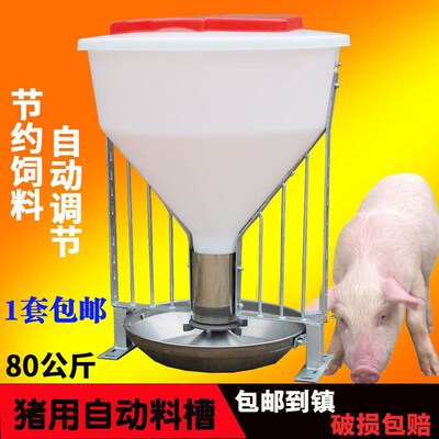 猪用自动料槽大猪食槽80公斤猪自由采食槽育肥猪料槽不锈钢猪食槽