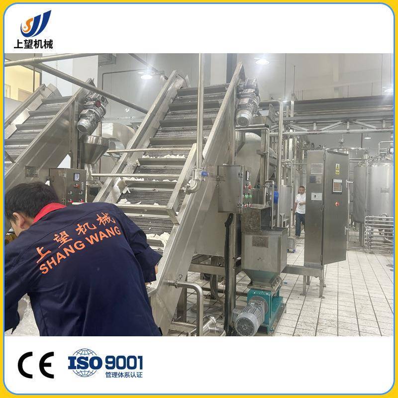 上海工厂椰奶椰粉生产线椰子水设备椰子深加工流水线全自动