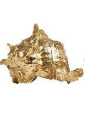 现书代轻奢客厅电视柜壁02281龛件响样贝壳小众房摆书柜板间家居