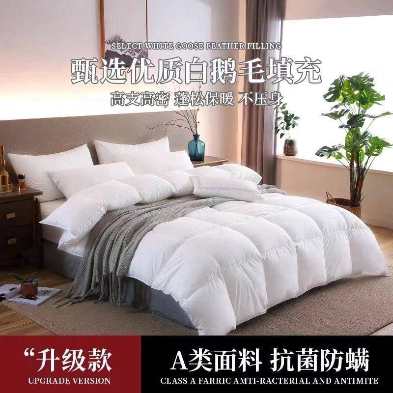进口子高档羽绒9双5白鹅绒被加厚静音冬被芯高被端春736秋被单人