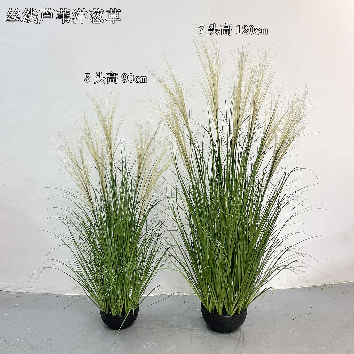 仿真洋葱草田野边自然风草堆丝线芦苇洋葱盆裁植物景观造景绿植