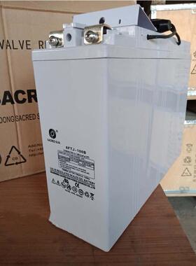 圣阳狭长型蓄电池12V100AH6FTJ-100B通信电源免维护胶体电池