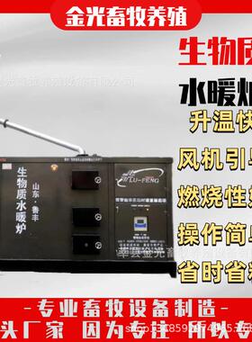 山东鲁丰40w生物质水暖炉大棚花卉取暖炉恒温运行燃煤养殖场专用