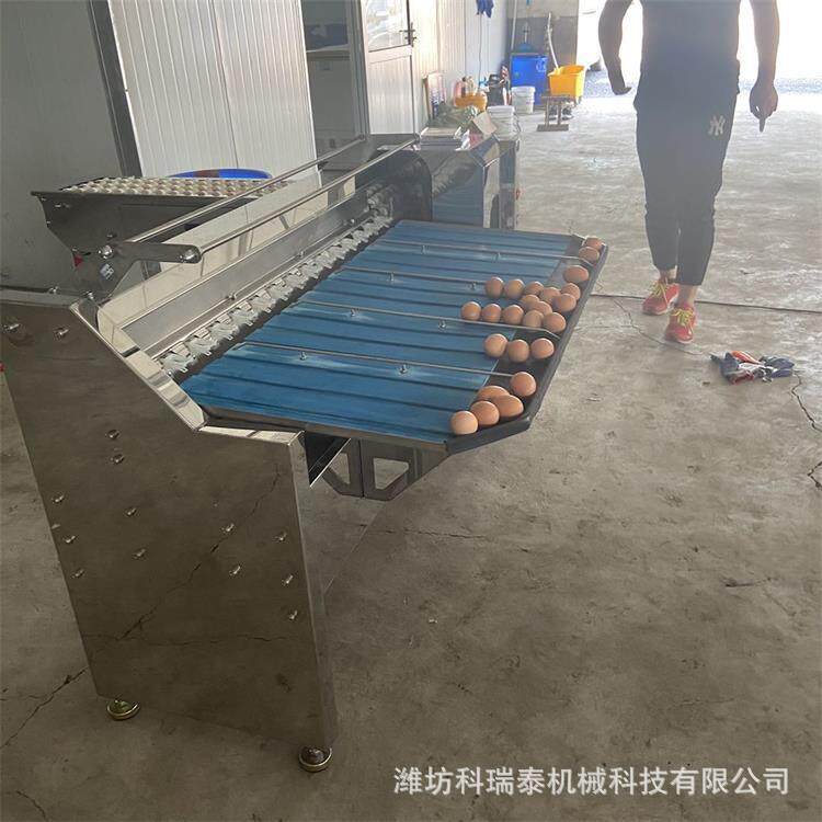 种蛋分拣机小型鸡蛋鸭蛋重量分级机蛋品快速按重量分大小