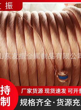 多股软铜绞线5001200平方烧穿器铜母线设备导电接头铜辫子