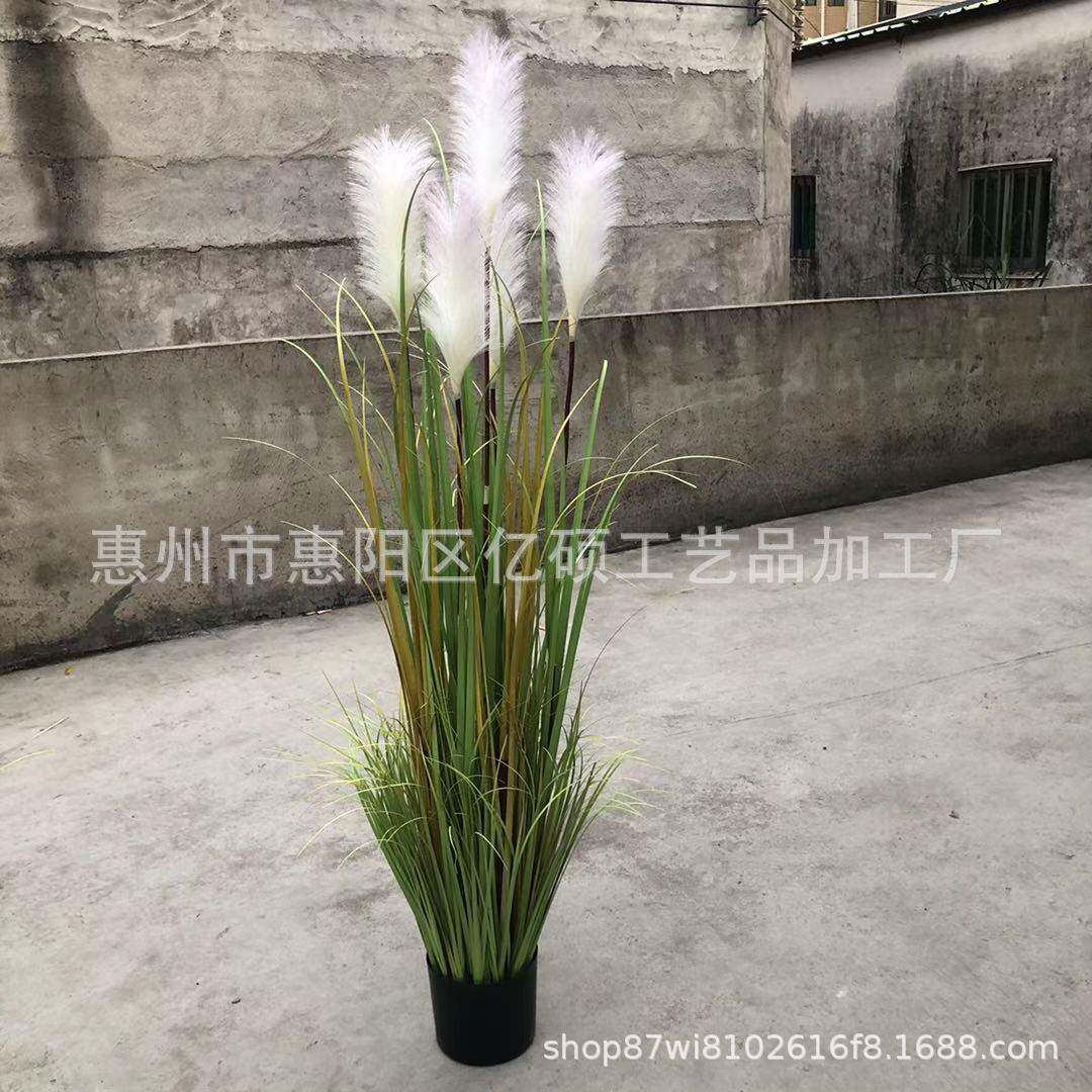 室内大型仿真芦苇盆栽仿真洋葱草狗尾草仿真蒲公英家居落地摆件