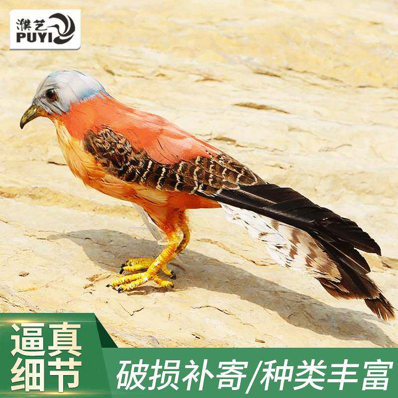 仿真红隼羽毛工艺品创意橱窗装饰摄影道具红隼摆件仿真动物模型