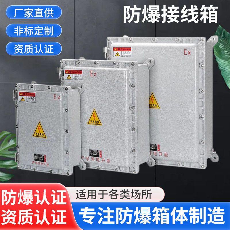 粉尘防爆配电箱接线箱防爆仪表箱控制柜防爆接线盒户外防水盒厂家