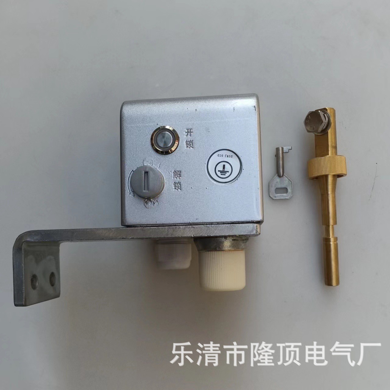 隆顶电气 DSW-D-J户外接地电磁锁 户外电磁锁DSW
