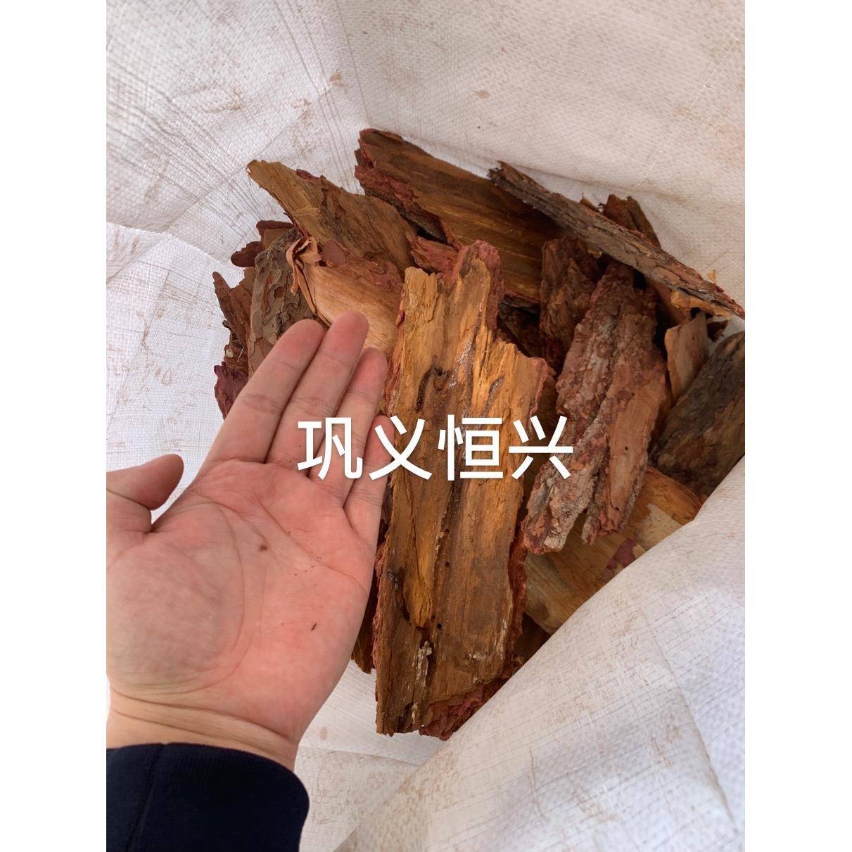 供应松树皮栽培基质10-20cm生物除臭松树皮树池园林覆盖用松树皮