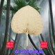 新会葵扇芭蕉扇手工编织扇双枝葵扇原色农民手工艺扇大蒲扇手摇扇