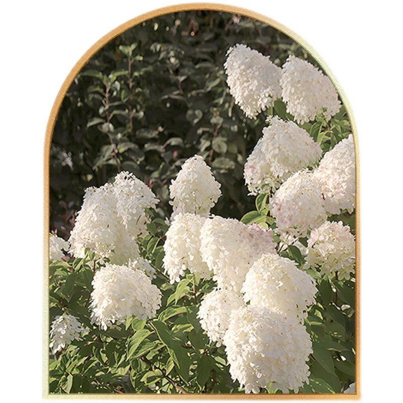 法式浪漫花卉田园风景北欧风小清新装饰壁画卧室餐厅玄关拱形挂画,家居饰品,现代装饰画,淘宝优惠券,粉丝福利购,淘宝优惠卷