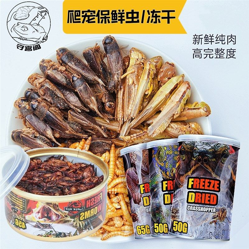 爬宠保鲜蟋蟀面包大麦虫昆豹纹守宫肥尾睫角蜥蜴龟观赏鱼蛙粮罐头