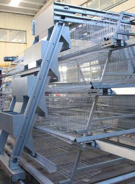 全自动PFB阶梯式蛋笼养殖场鸽自梯动化设备大型养鹌鹑多层阶养殖