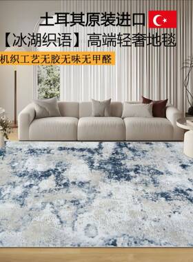 厅地毯无胶意式轻奢抗菌家用茶毯卧简约高级室几样200171板间耐客