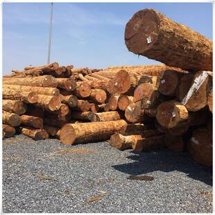 户条子901花旗铁杉原木云柱杉大口径原圆花旗松木松板外防腐木