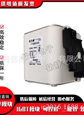 7170M6513170M65141M70M651511706516巴斯曼熔断器现货10M012657