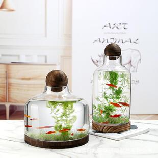 厂家轻玻璃花瓶木奢托欧式创意生瓶椭木球形态生圆财瓶聚宝盆微景