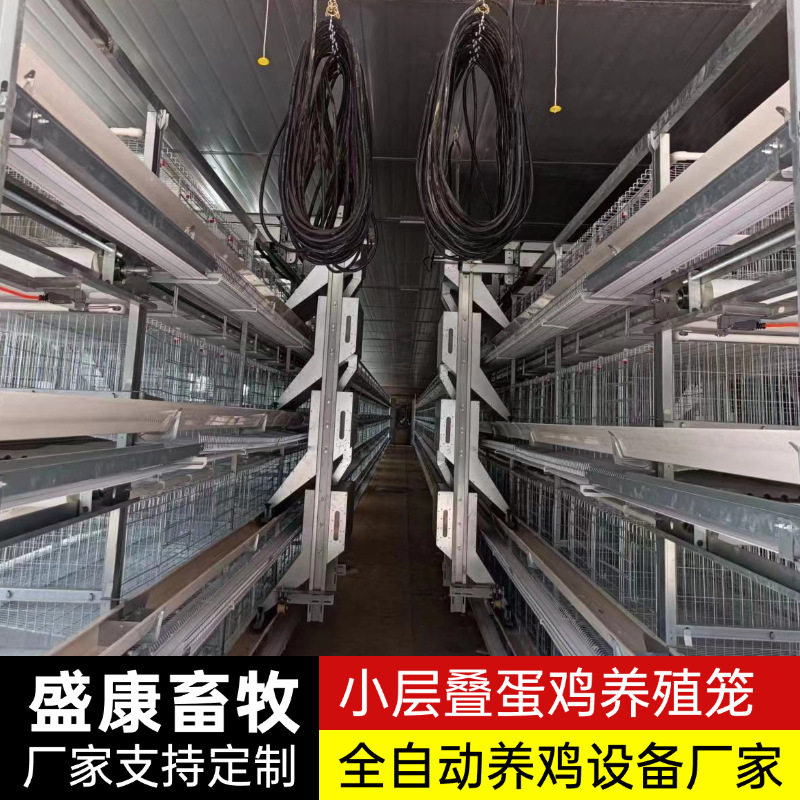 层叠式蛋鸡笼多层立梯式禽类养殖自动化蛋鸡笼自动上料捡蛋鸡笼