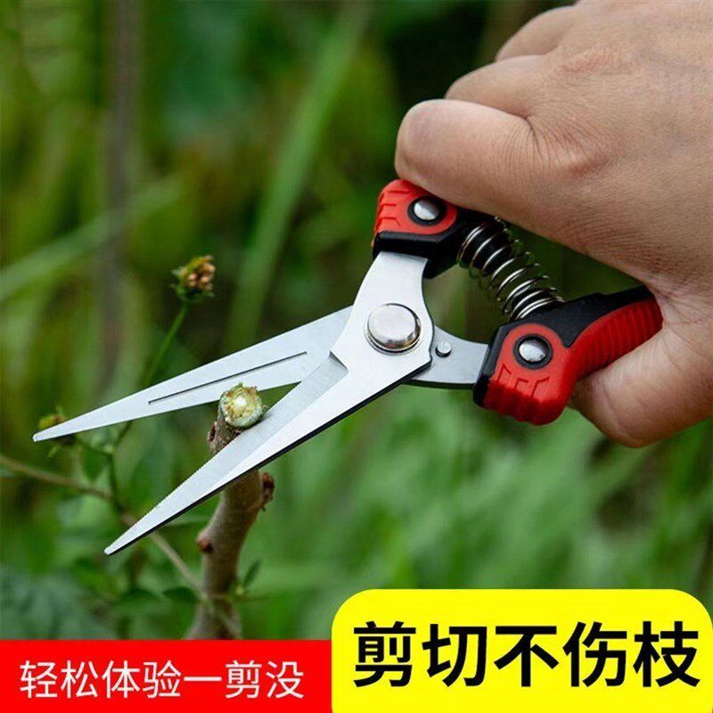 强力采果剪刀园艺省力修枝剪不锈钢带锯齿园林剪树剪子果树剪蔬果