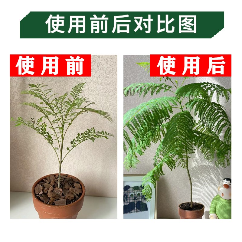 蓝花楹专用营养液家庭园艺室内树苗盆栽地栽绿植物多元素复合花肥